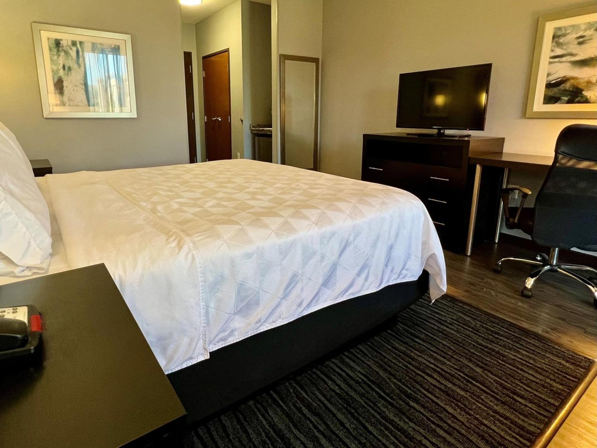 Holiday Inn Carlsbad/San Diego By Ihg Exteriér fotografie